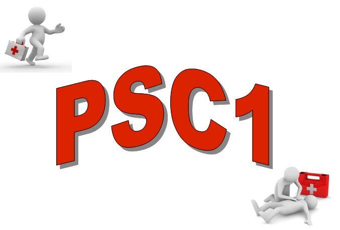 Remise officielle des diplômes PSC1